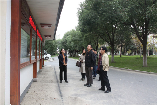 嘉興市“雙整”工作督查組蒞臨匯才紅木調(diào)研指導(dǎo)